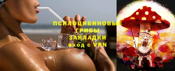 дурь Новодвинск
