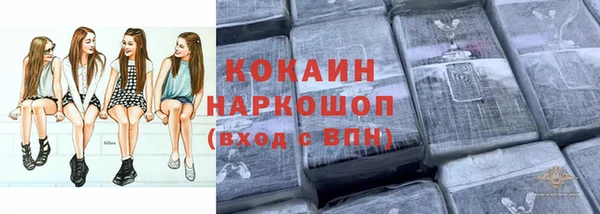 стафф Алзамай