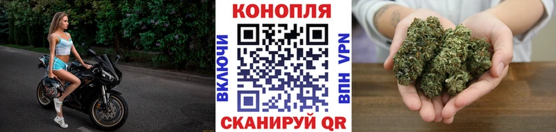 МАРИХУАНА гибрид  Прохладный 
